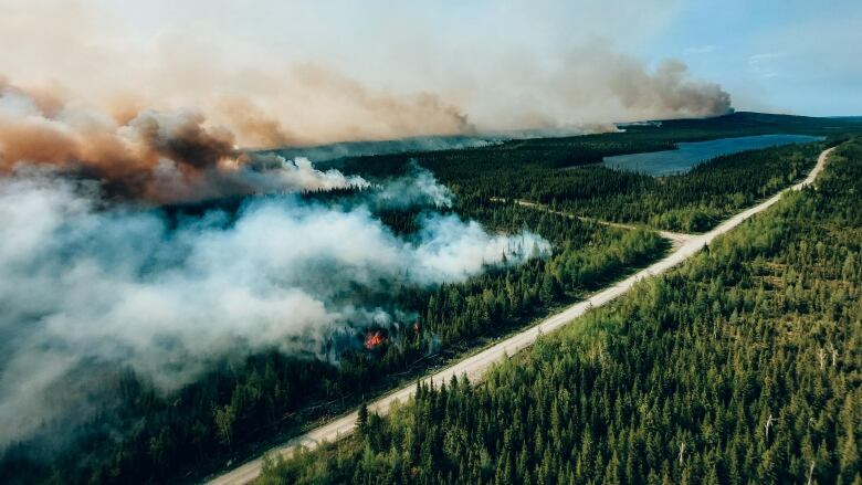 One helicopter blade visible over landscape of smoke and forest.