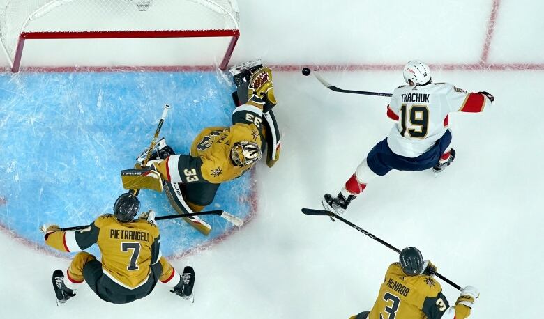 A group of hockey players are pictured.