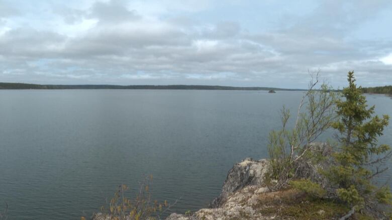 A small group of trees stand on a rock overlooking a large lake.