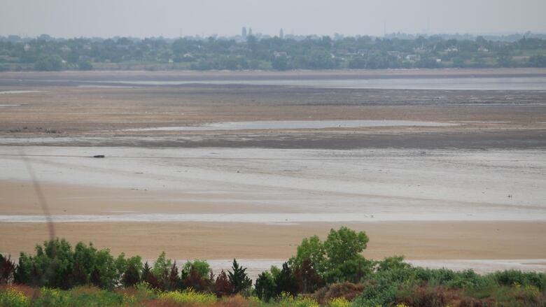 A dried-up reservoir.