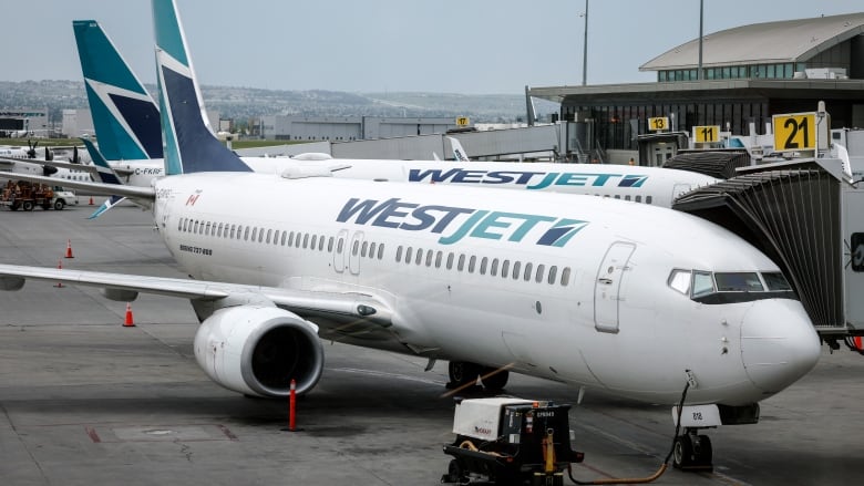 Airplanes parked at an airport.