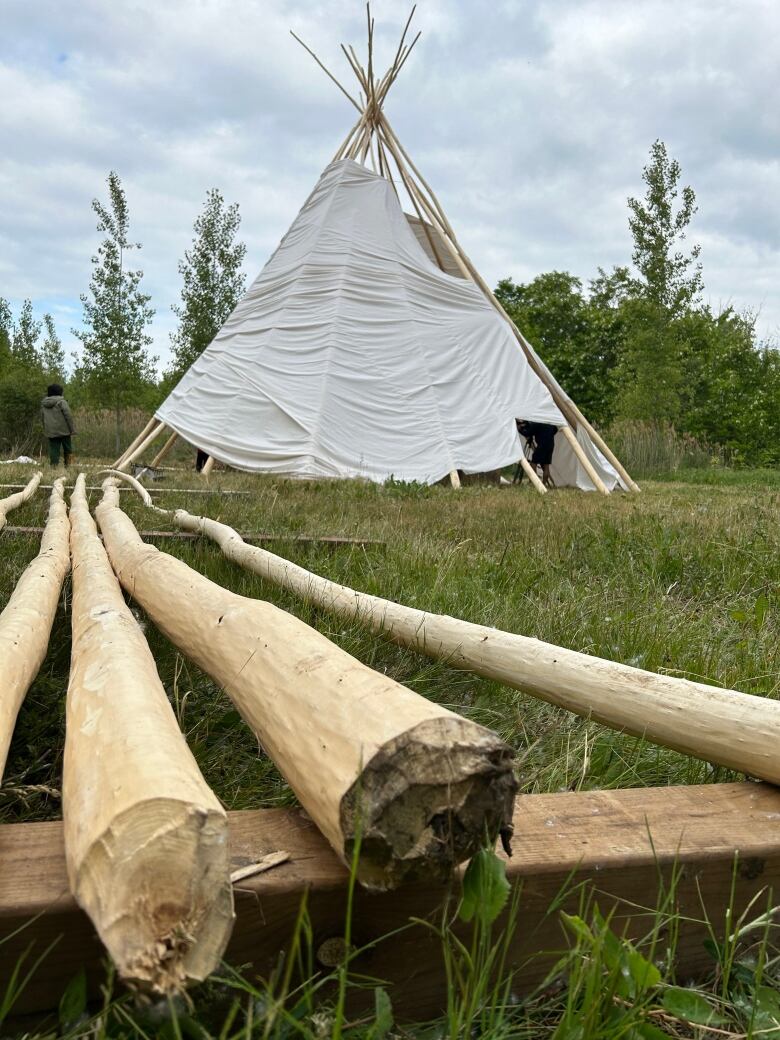 Some 25-foot long stripped trees lie in the foreground, with a large teepee in the background.