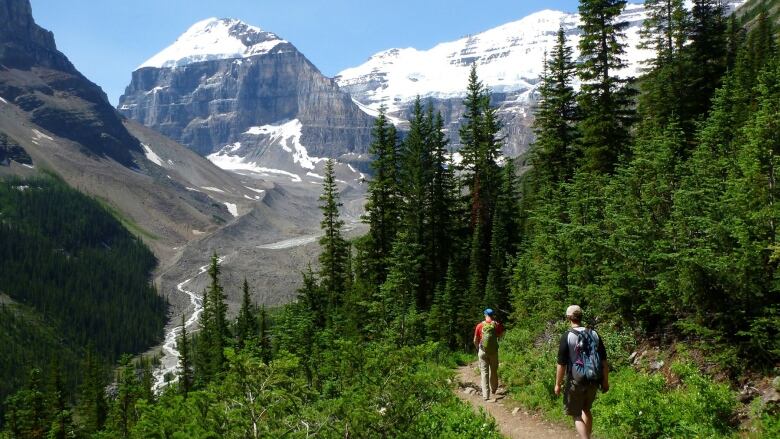 Two hikers walk along a dirt hiking path flanked by green pine trees and facing mountains and a valley below.