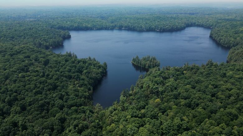 Bigwind Lake Provincial Park