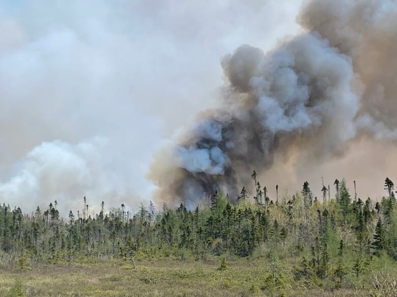 Black smoke is shown above a forested area in the Barrington Lake, Shelburne County, area of Nova Scotia from May 29, 2023.