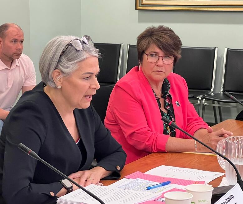 Deputy labour minister Ava Czapalay, left, responds to questions during a meeting of the Nova Scotia Legislature's public accounts committee on Friday, June 23, 2023, as NSGEU president Sandra Mullen looks on. 