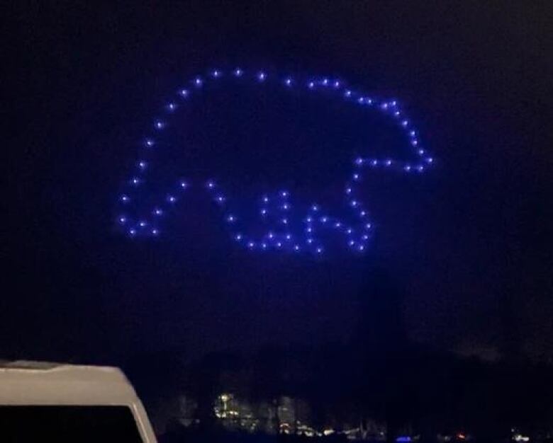 Drones form the shape of a bear in the night sky in a Drone Light Show Canada display in Sparwood, B.C.