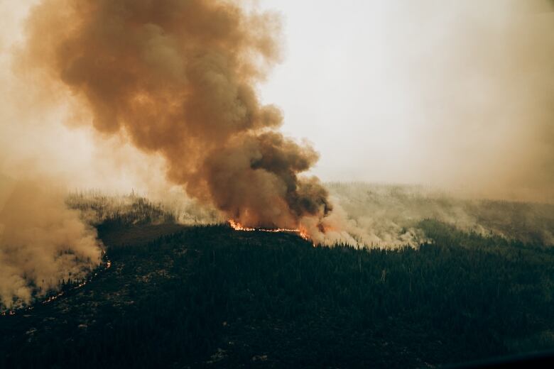 A fire burns through a forest in Quebec. 