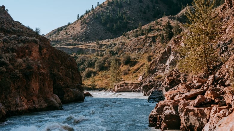 A rushing river through a red and sand coloured canyon, with small trees dotting the side. 