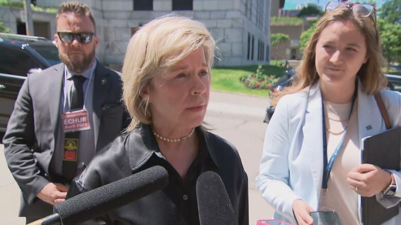 Martine Biron, speaking to reporters at the National Assembly last week, said while some groups had reservations about her idea, some were 'completely excited' about it.