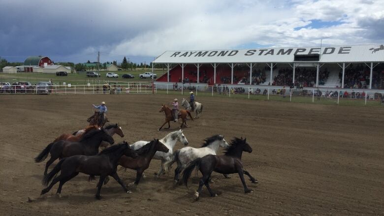 Horses run in a circle in front of a grandstand. 