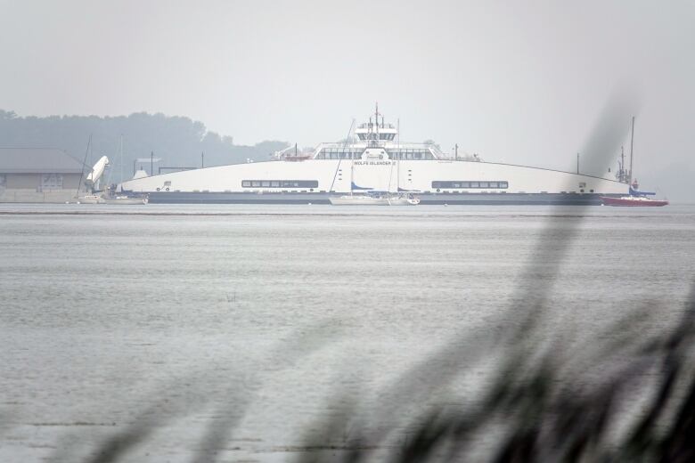 A large, white boat can be seen in the distance through bulrushes. It's a grey, rainy day.