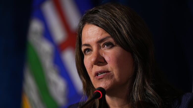 A woman with dark brown hair speaks into a microphone.