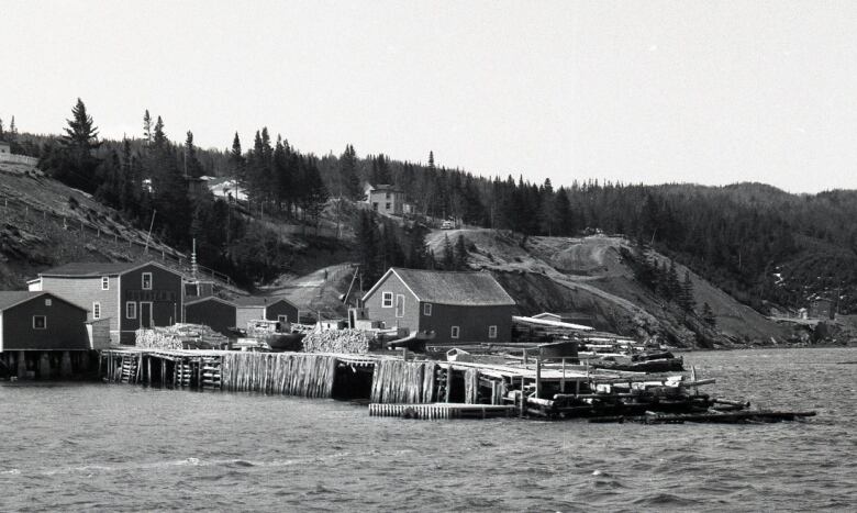 An old black and white photograph of timber on a dilapidated wharf by some small buildings.