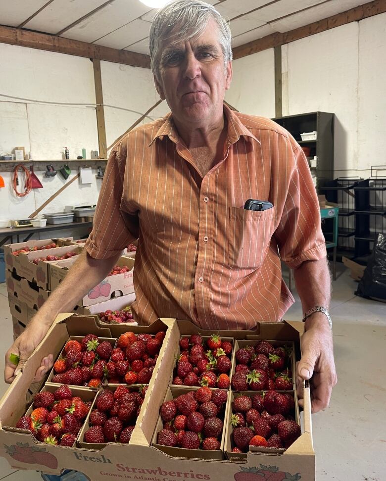 A man holds a cardboard box with strawberries.