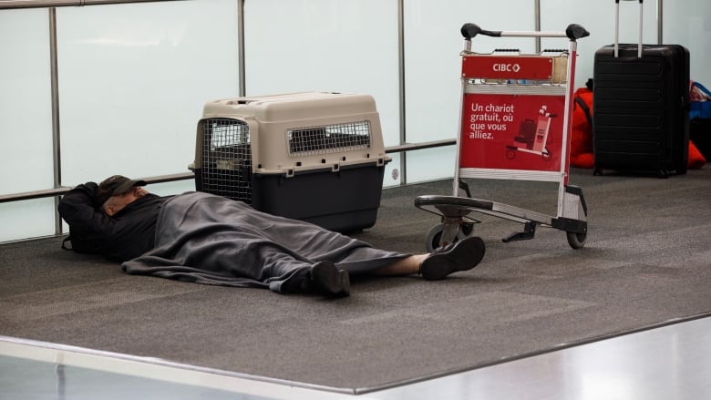 A man lies down on the floor at an airport with a pet carrier and a luggage carriage nearby.