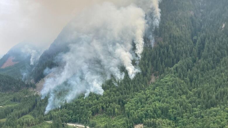 A wildfire burns on a forested mountainside.