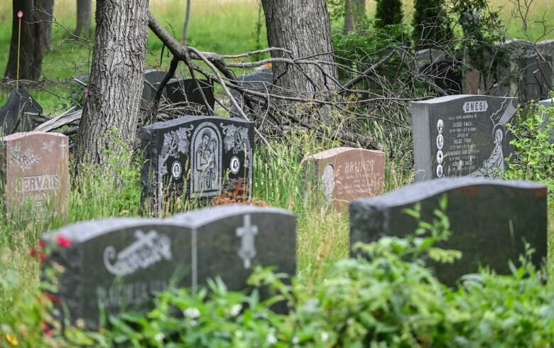 Overgrown foliage and fallen branches surround gravestones at Notre-Dame-des-Neiges Cemetery in Montreal, Sunday, July 9, 2023, as an ongoing strike over working conditions continues.