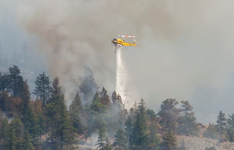 A yellow helicopter flies through grey smoke to drop water on a wildfire burning on a brown hillside. Evergreen trees are also on the hill.