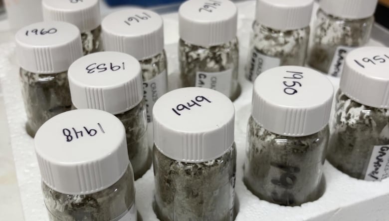 A tray with glass jars with white lids marked with years 1948 and 1960