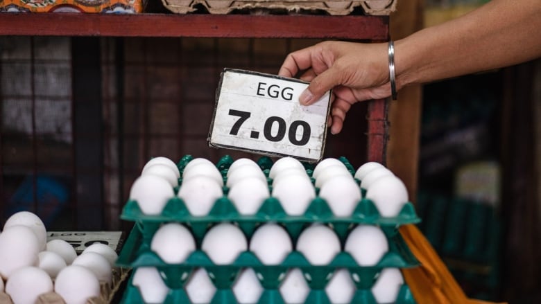 A woman sticks a price tag on a display of eggs