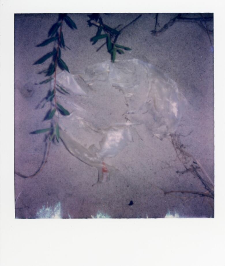 A close-up shot of a clear balloon in the sand, half-buried and starting to break down. 