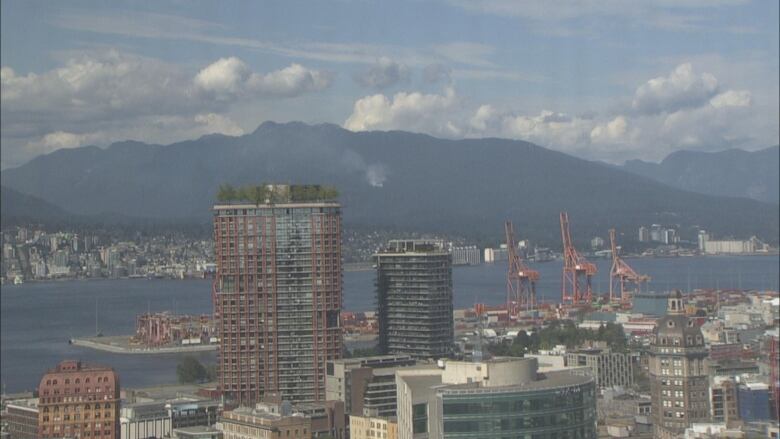 A wildfire is seen burning on hills in the background of a port and tall skyscrapers.