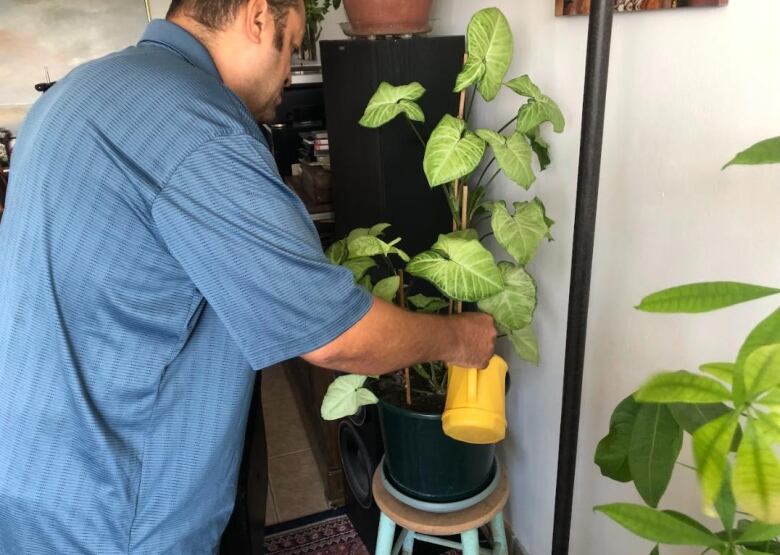 Walton waters some of his houseplants, which he says can be another indicator of the hot and humid conditions in his apartment. 