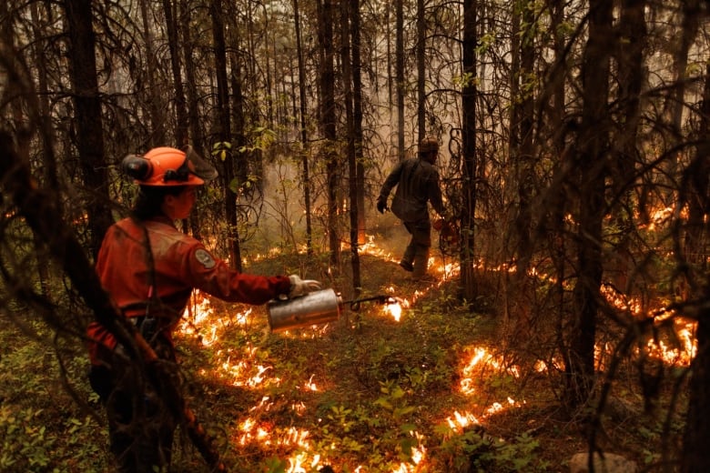 Two people in a vividly fiery image uses a torch to set more fire in a forest.