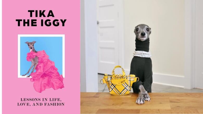 A pink book cover featuring an italian greyhound in a pink dress. An italian greyhound in a turtleneck and pearls crosses her paws over a wooden desk