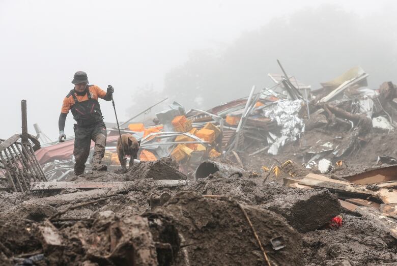 A rescue worker with a dog searches for people at the site of a landslide.