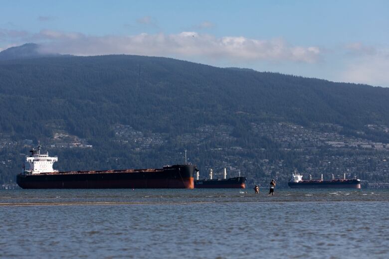 Three huge container ships are moored in Vancouver harbour while a family plays in the water at low tide.