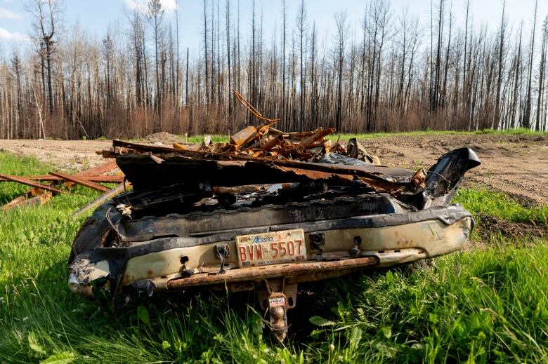 A charred vehicle sits in a field. The treeline in the background is burned