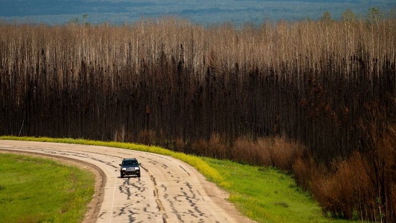 A car drives down a bend in the road. The tree line along the road is burned black.