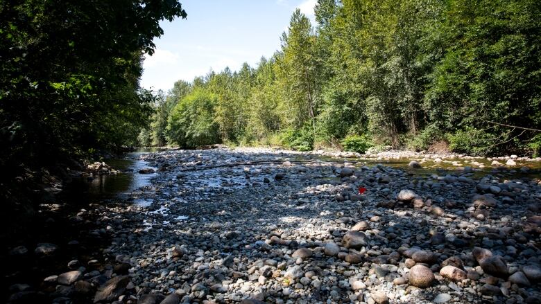 A wide river with forested banks. The water level in the river is low, revealing many rocks.