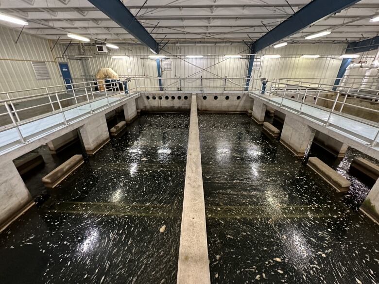 Dark water with bubbles swirls through to large concrete structures. 