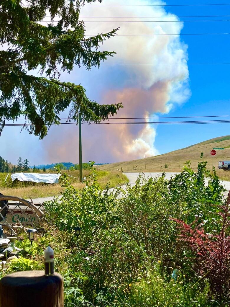 Plumes of orange smoke burn past a hill covered with greenery.