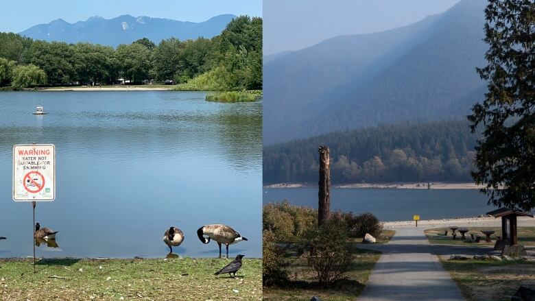 A composite photo shows seagulls on the edge of a lake with rocky mountains in the background to the left and a path leading down to a forested lake with forested mountains in the background.