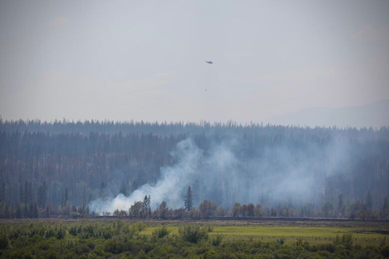 White smoke rises from an evergreen forest on a sunny day. A helicopter is seen flying overhead.