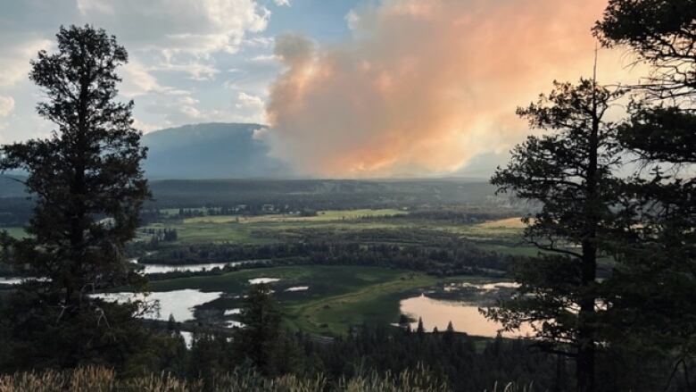 Smoke is seen over rolling hills through trees.