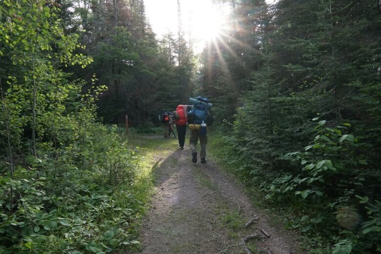 The camera points towards the backs of hikers carrying their camping gear as they walk down a dirt path surrounded by greenery.