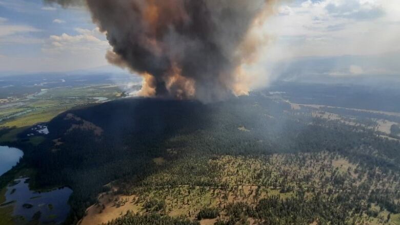 Thick brownish grey smoke rises into the air above a green and yellow landscape.