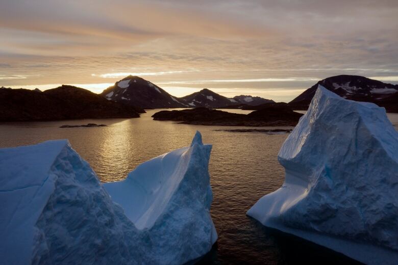 Icebergs float in the foreground on a dark ocean, with mountains in the background