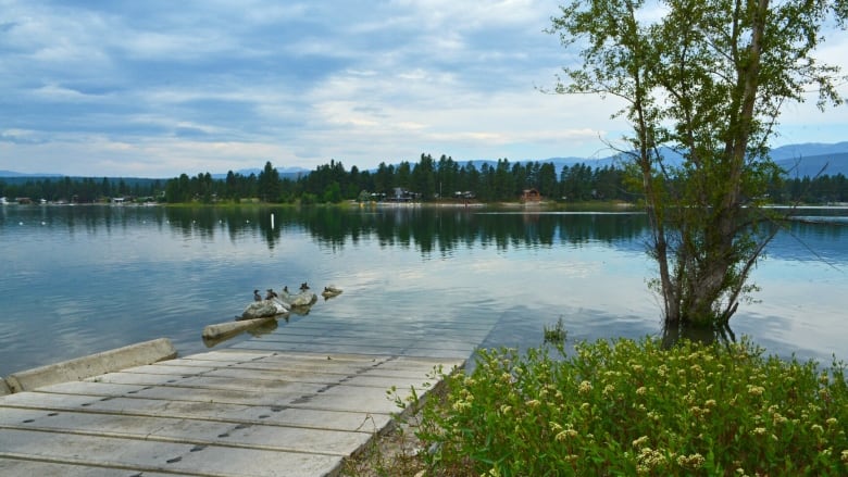 The boat launch at Wasa Lake. Birds are on the rocks by the boat launch. Mountains can be seen across the lake.