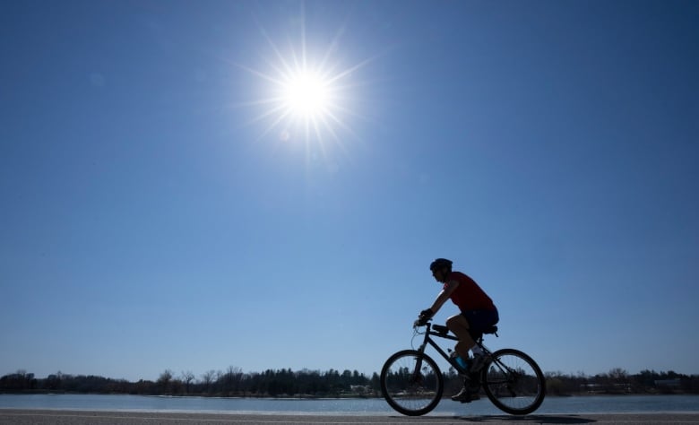 A cyclist rides along a lake shore, under a clear blue sky and blazing sun. 