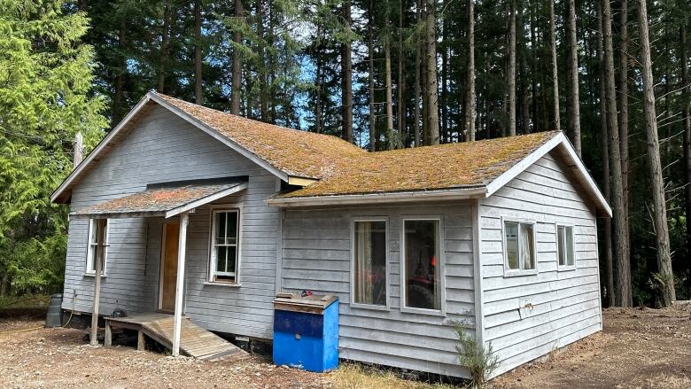 A decades-old, grey cabin with moss on the roof on the edge of a tall forest.