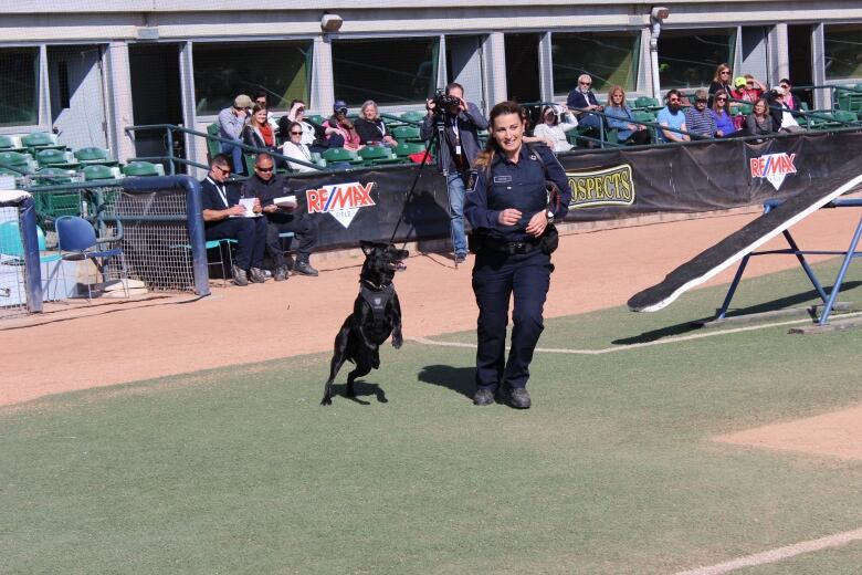 CBSA officers Danielle Getzie and her Nova run through an obstacle course in this achieve photo. 