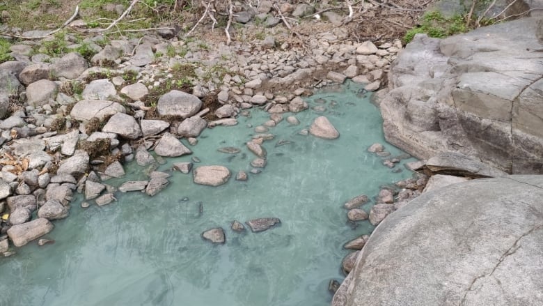 A milky blue substance in the water at a rocky shore.