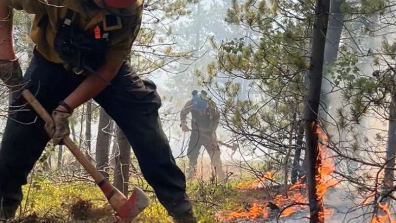 Wildland firefighters are seen digging a perimeter in a forest, near some burning vegetation.