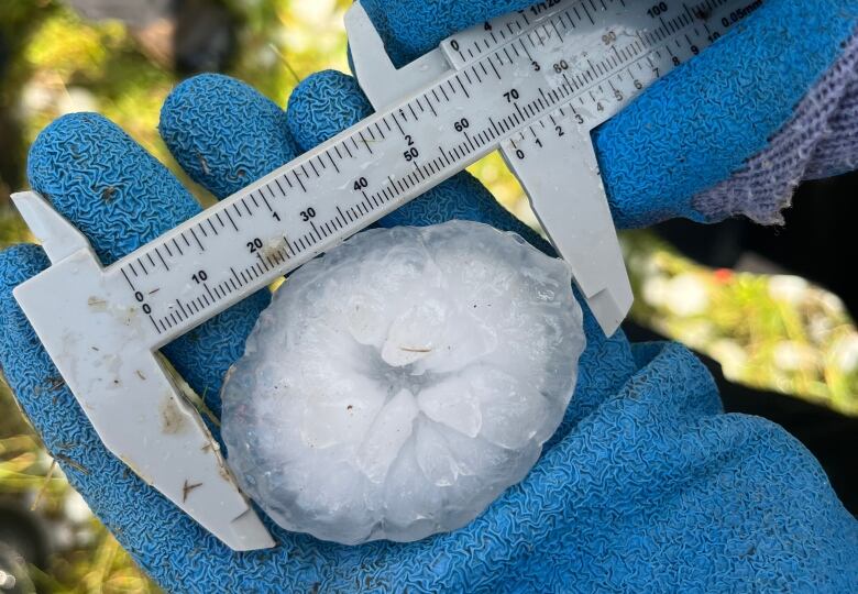 Devon Healey, of the Northern Hail Project, said his team collected bags of tennis ball-sized hail on July 31, 2023, in an area north of Calgary. 